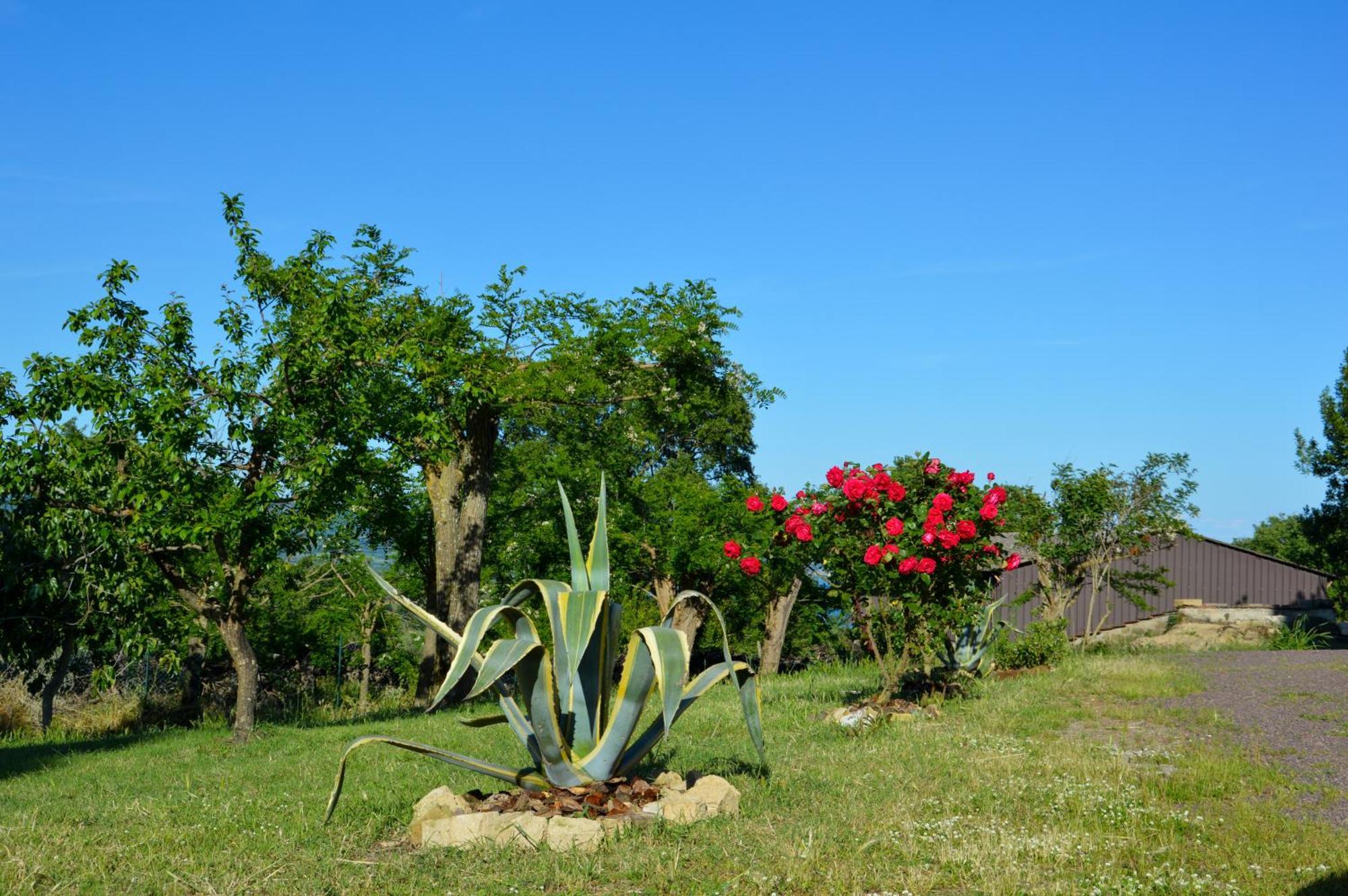 Agriturismo "La Fraschetta" Bolsena Extérieur photo