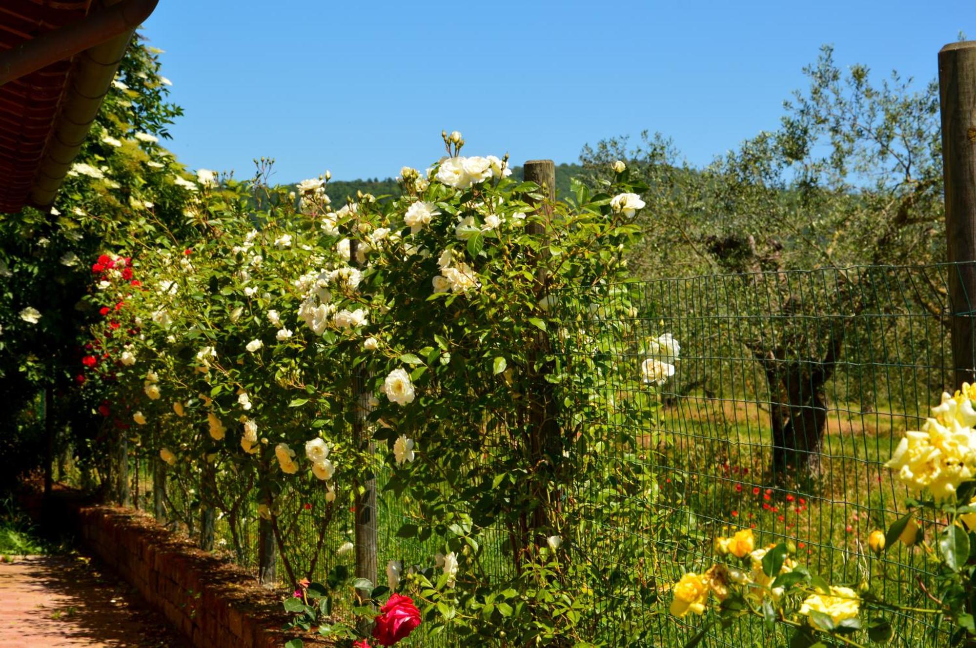 Agriturismo "La Fraschetta" Bolsena Extérieur photo