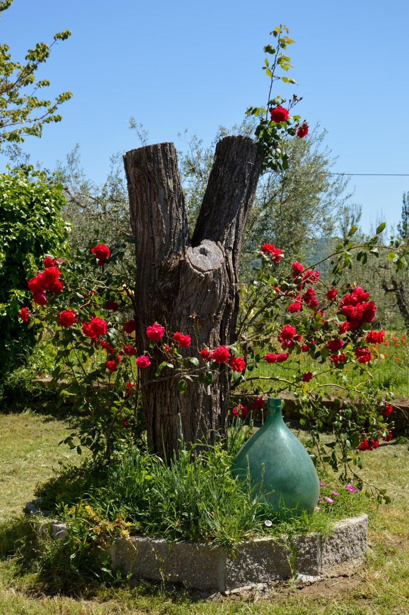 Agriturismo "La Fraschetta" Bolsena Extérieur photo